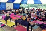 kickoff van Internationale Yoga Dag op landgoed Elswout 2