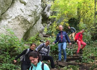 Haarlems bedrijf Insights Benelux beklimt Kilimanjaro voor WarChild