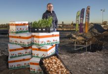 Verver Export realiseert nieuwbouw in glastuinbouwgebied Alton Directeur Tijmen Verver. Foto door Peter van Aalst.