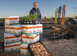 Verver Export realiseert nieuwbouw in glastuinbouwgebied Alton Directeur Tijmen Verver. Foto door Peter van Aalst.