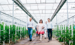 Vlnr Tjeerd de Groot (2e kamerlid D66) Claudia Weemhof (Statenlid D66) Melvin Tesselaar (eigenaar Tesselaar Alstroemeria)