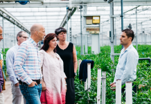 D66 verrast door sterke alliantie verduurzaming glastuinbouw Alton vlnrL René Hogeveen (HVC) Jan-Peter Born (HVC) Tjeerd de Groot (2e kamerlid D66) Claudia Weemhof (Statenlid D66) Rian van Dam (Greenport NHN), Melvin Tesselaar (Tesselaar Alstroemeria)