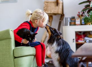 Gezondheid mens, hond en kat loopt risico door worminfecties