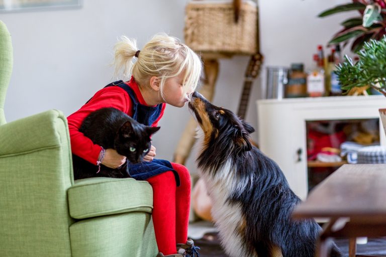 Gezondheid mens, hond en kat loopt risico door worminfecties