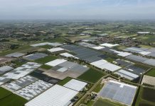 70 miljoen euro aan glastuinbouwinvesteringen in de pijplijn