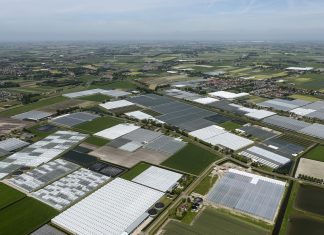 70 miljoen euro aan glastuinbouwinvesteringen in de pijplijn