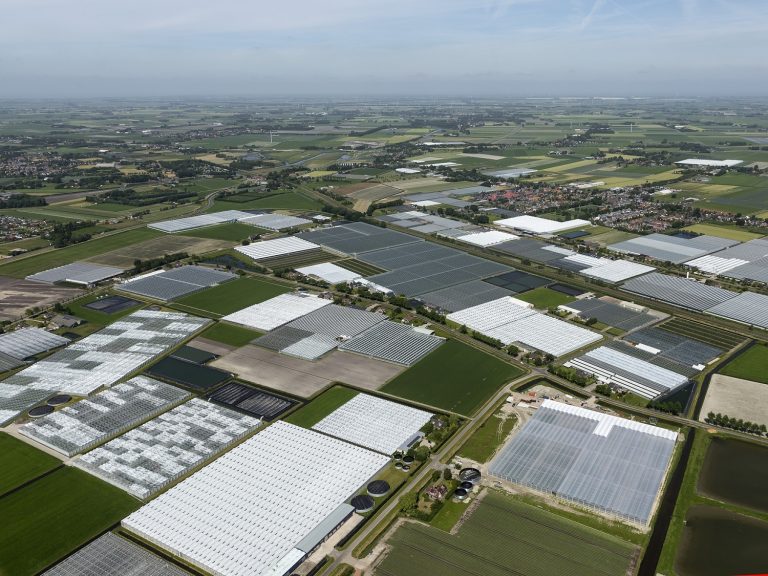 70 miljoen euro aan glastuinbouwinvesteringen in de pijplijn