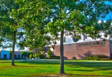 Bolster Investment Partners verwerft 50% belang in Esschert Design