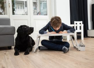 Stichting A-Talent lanceert platform voor talenten met autismespectrumstoornis Foto van Quinten. Foto door fotograaf Ron Baltus.